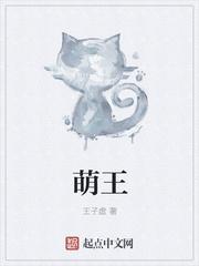 与卿携手赴山河封面