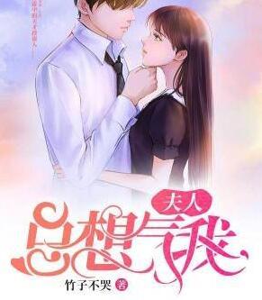 时莜萱盛翰鈺封面