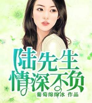 秦澜陆识川沈城远小说封面