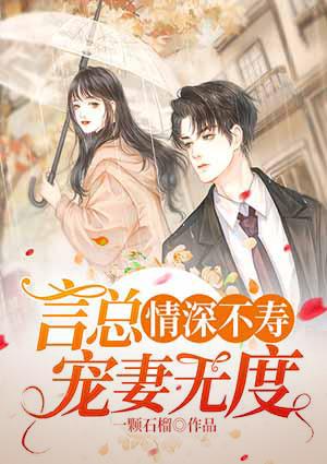 盛夏言景祗小说封面