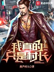 我真的只是村长封面