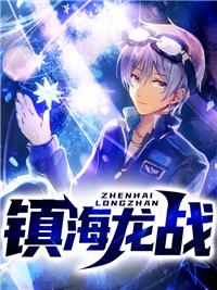 镇海龙战封面