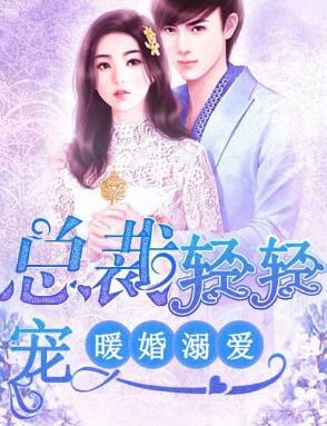 暖婚溺爱封面