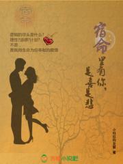 你的温柔变了心小说封面