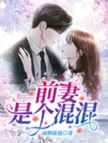 前妻是个混混路飞飞窦荣免费封面