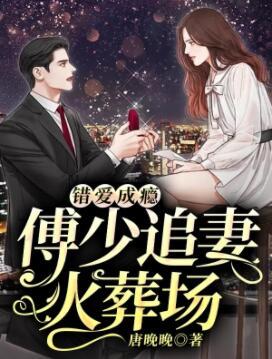 错爱成瘾林婉婉免费阅读封面