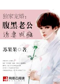 尽头的微光沈珠封面