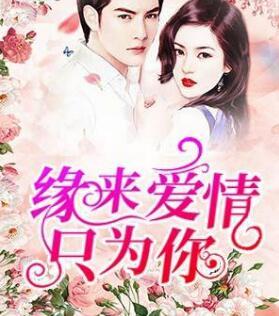 情深万里只宠你封面