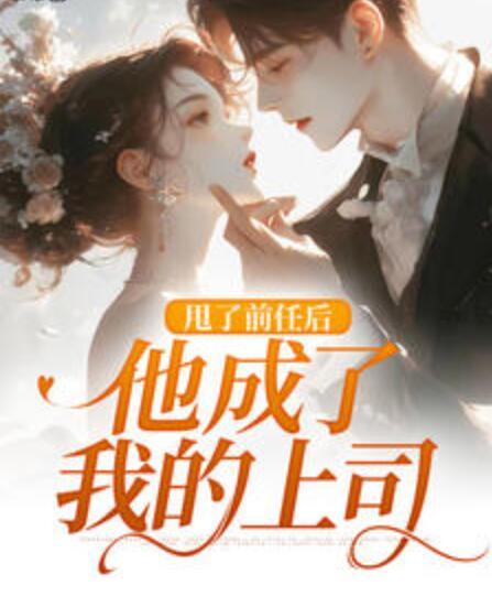 安星辰陆晏舟小说免费阅读封面