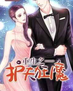 重生之护夫狂魔封面