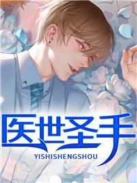 医世圣手封面