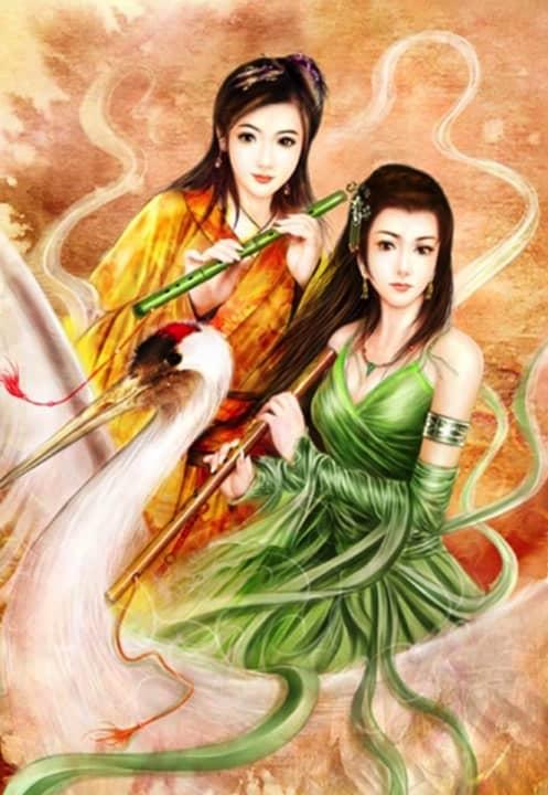 官婿美人香封面