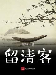 池皎皎顾铮封面