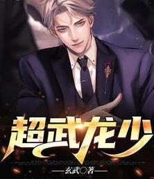 唐龙林飒小说封面