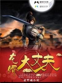 龙婿大丈夫封面