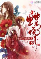 仙侣情缘之蝶晓月封面