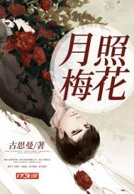 月照梅花封面