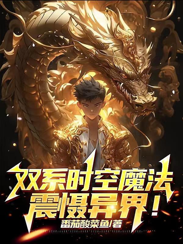 双系时空魔法，震慑异界！封面