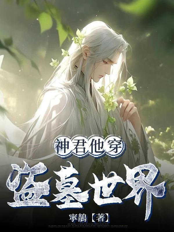 神君他穿盗墓世界封面