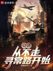 亮剑，从晋西北打到长津湖封面