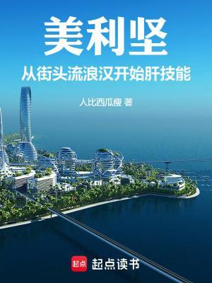 美利坚：从街头流浪汉开始肝技能封面