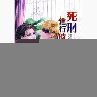 死刑进行时(出书版)封面