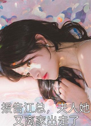 报告江总，夫人她又离家出走了封面