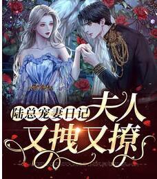 陆总宠妻日记：夫人又拽又撩封面