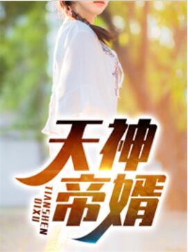 天王帝婿赵苍穹小说免费阅读封面