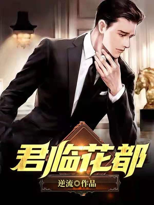君临花都封面
