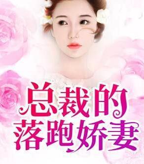 陆朝颜商冷霆小说封面