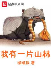 贺绵绵霍司谕小说封面