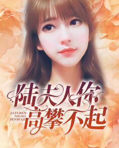 陆景盛阮舒封面