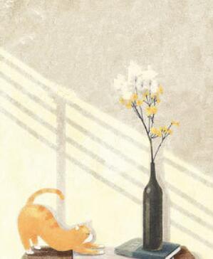 苏暖厉南爵封面