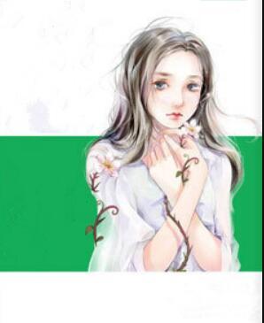 盛雪陆斯年封面