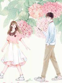 许你一世烟火封面