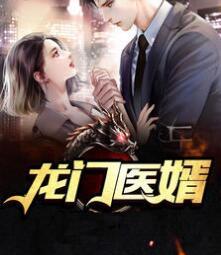 龙门医婿全文免费阅读封面