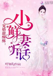 乔唯顾影风小说封面