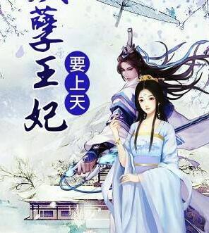 凤思吾夜凌寻小说封面