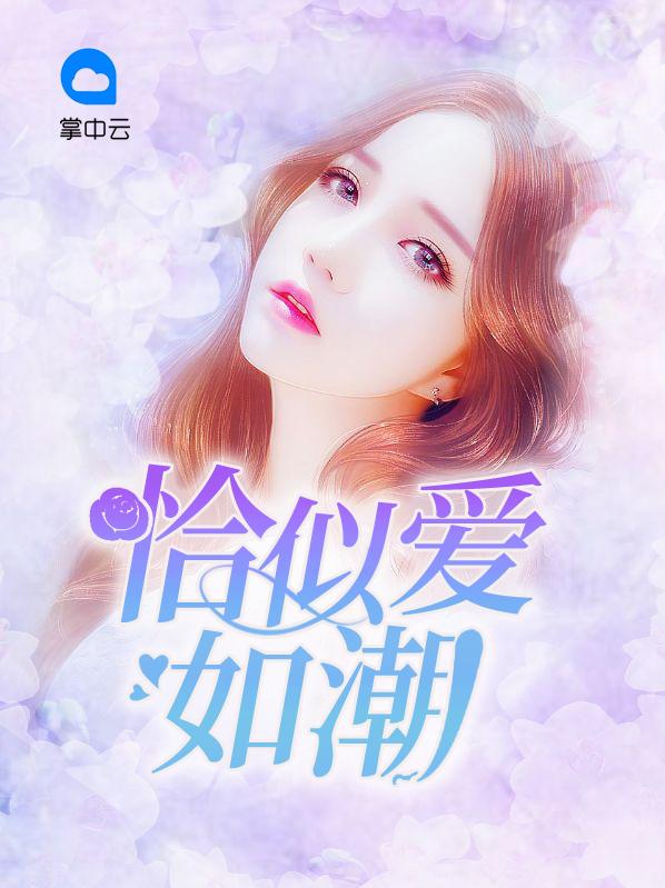 恰似爱如潮封面