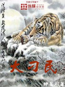 大刁民封面