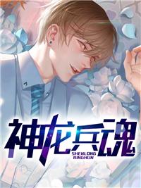 神龙兵魂小说封面