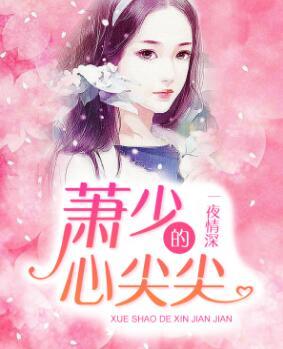一夜情深：萧少的心尖尖封面