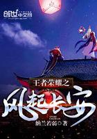 王者荣耀之风起长安封面