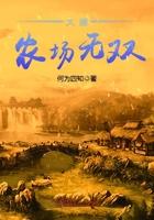 大唐农场无双封面