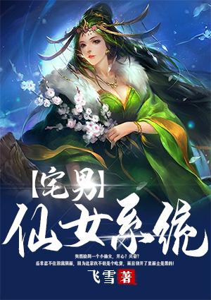 宅男仙女系统封面