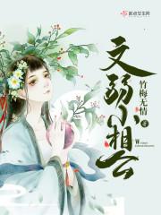 文弱小相公封面