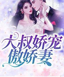 苏暖暖厉衍琛封面