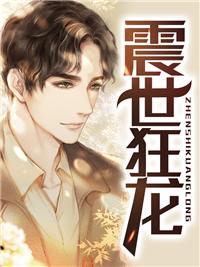 震世狂龙封面