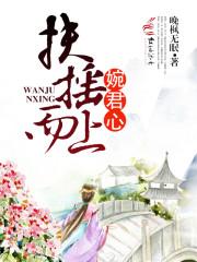 扶摇而上婉君心封面